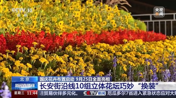 慧眼智行 45万盆、超7000平方米，首都国庆花卉布置25日起全面亮相