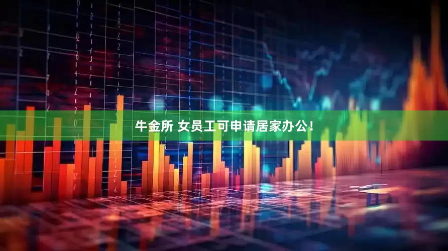 牛金所 女员工可申请居家办公！